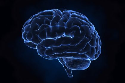 What Brain Injury Home Care Assistance Will You Need